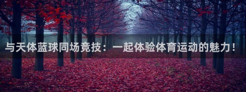 熊猫体育直播